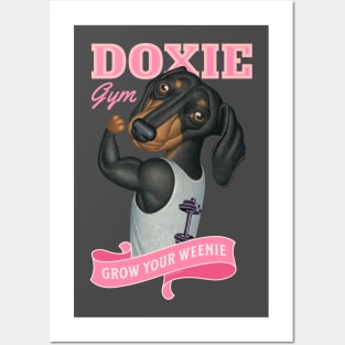 Cute Doxie going to the gym to grow your weenie in pink Posters and Art